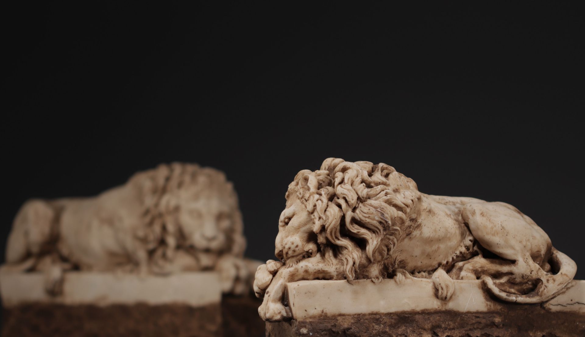Pair of sculpted marble Lions, probably 18th century. - Image 4 of 4