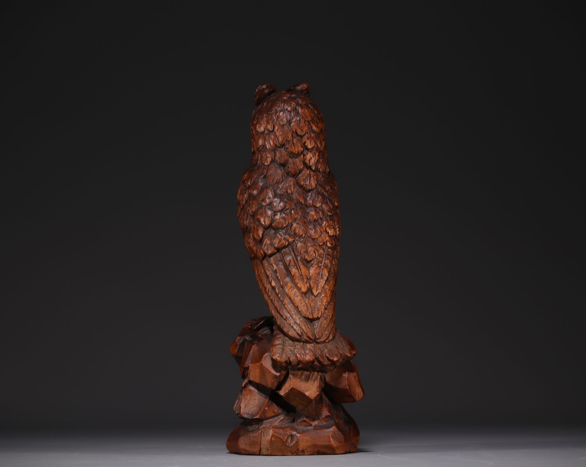 Black Forest carved walnut owl, 19th century. - Image 4 of 4