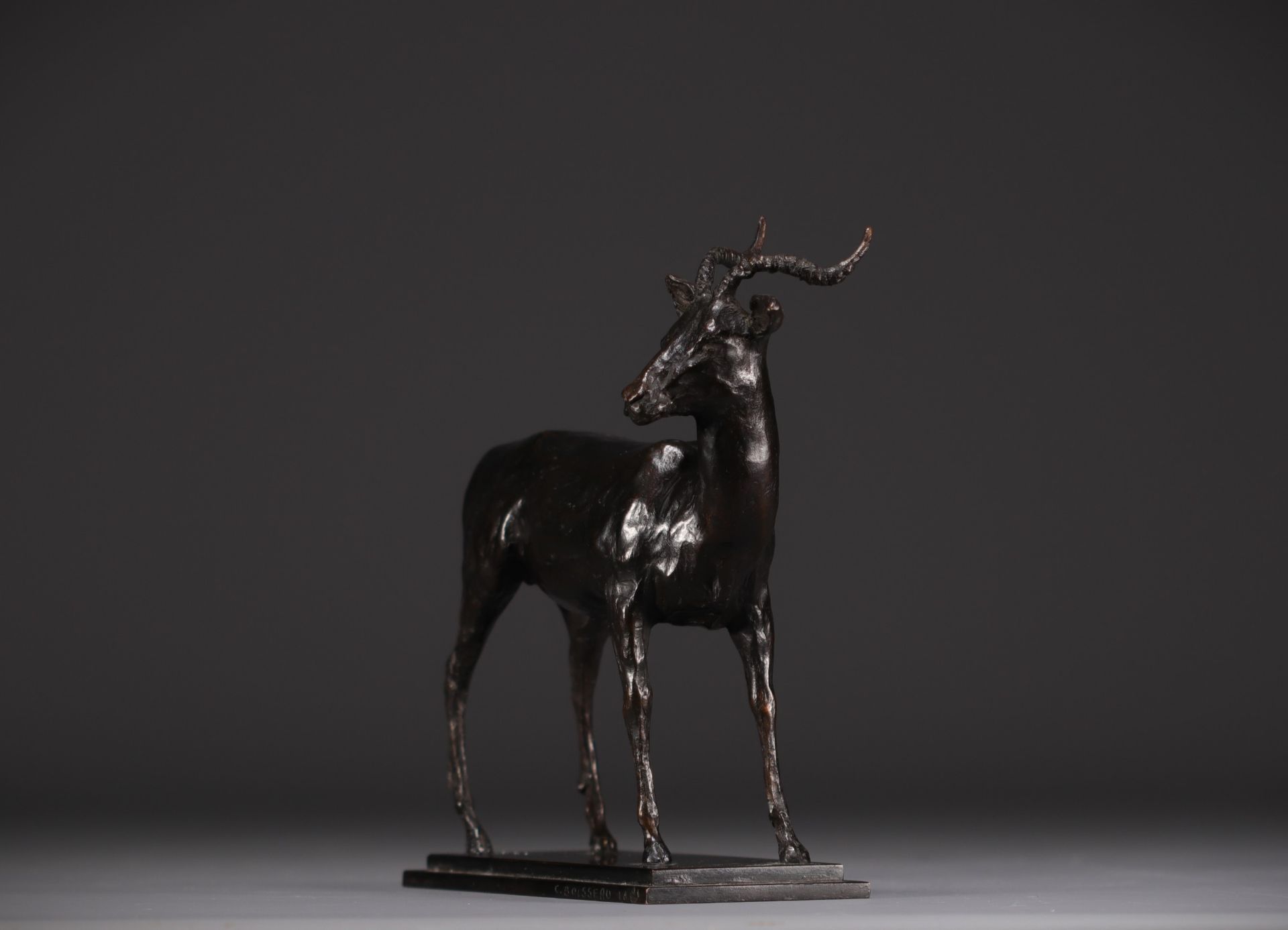 Catherine BOISSEAU (1952- ) "Impala" Artist's proof in bronze signed "C.Boisseau" and numbered 1/8.  - Bild 2 aus 5