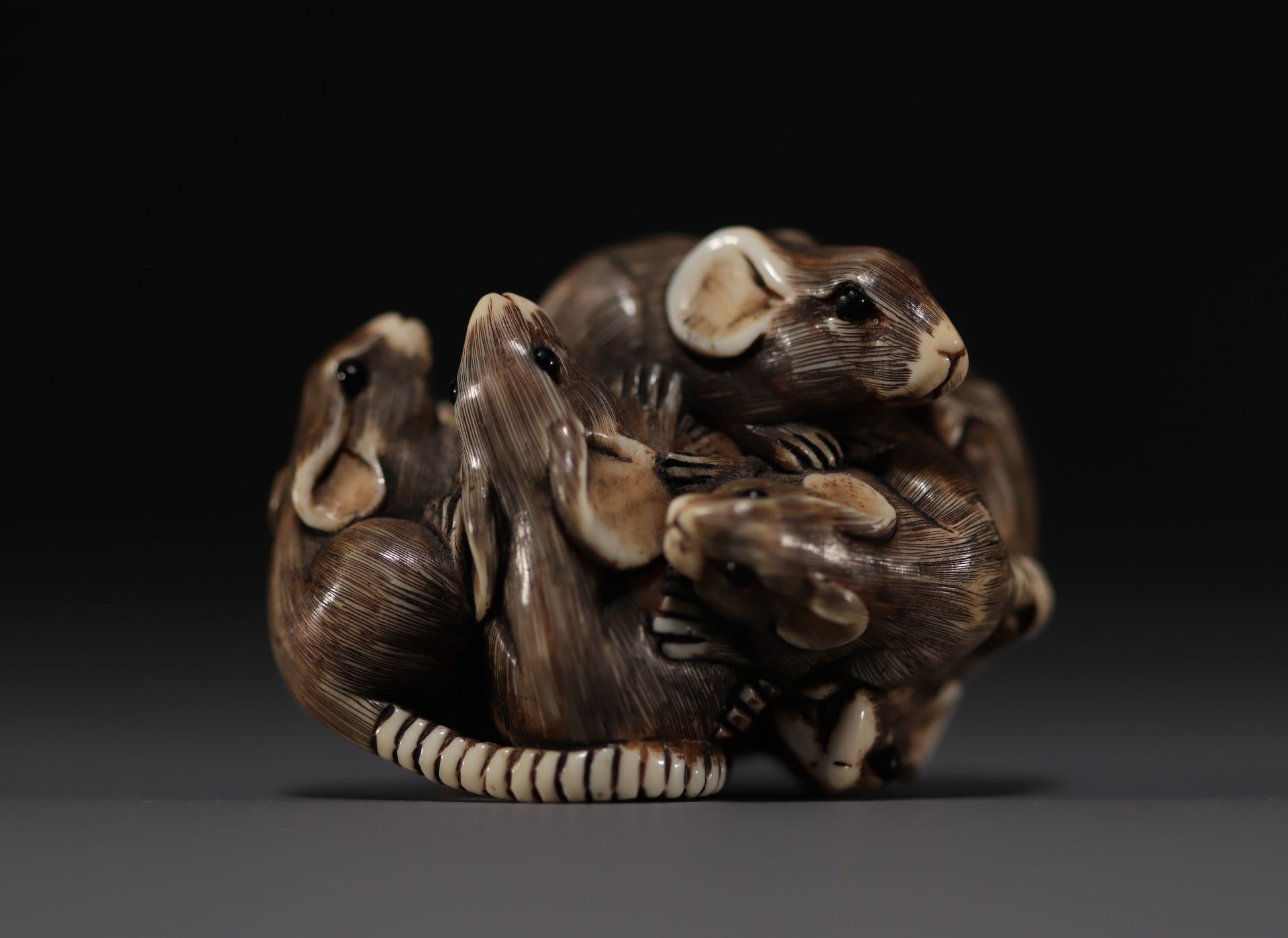 Japan - Ivory and black coral netsuke representing a group of six rats, Meiji. Signed.