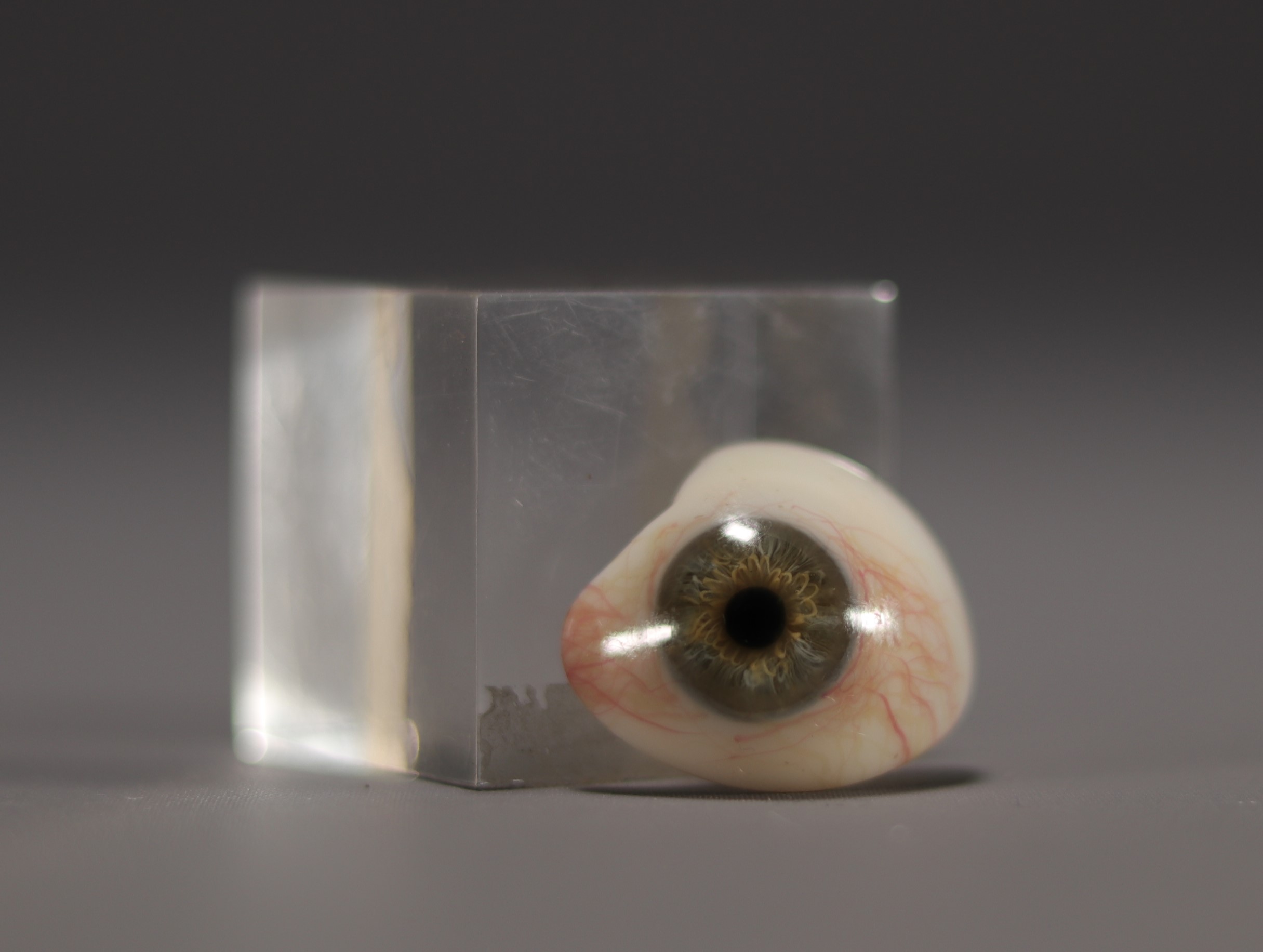 Muller Sohne Wiesbaden - Small box containing two ocular prostheses (glass eyes). - Bild 3 aus 3