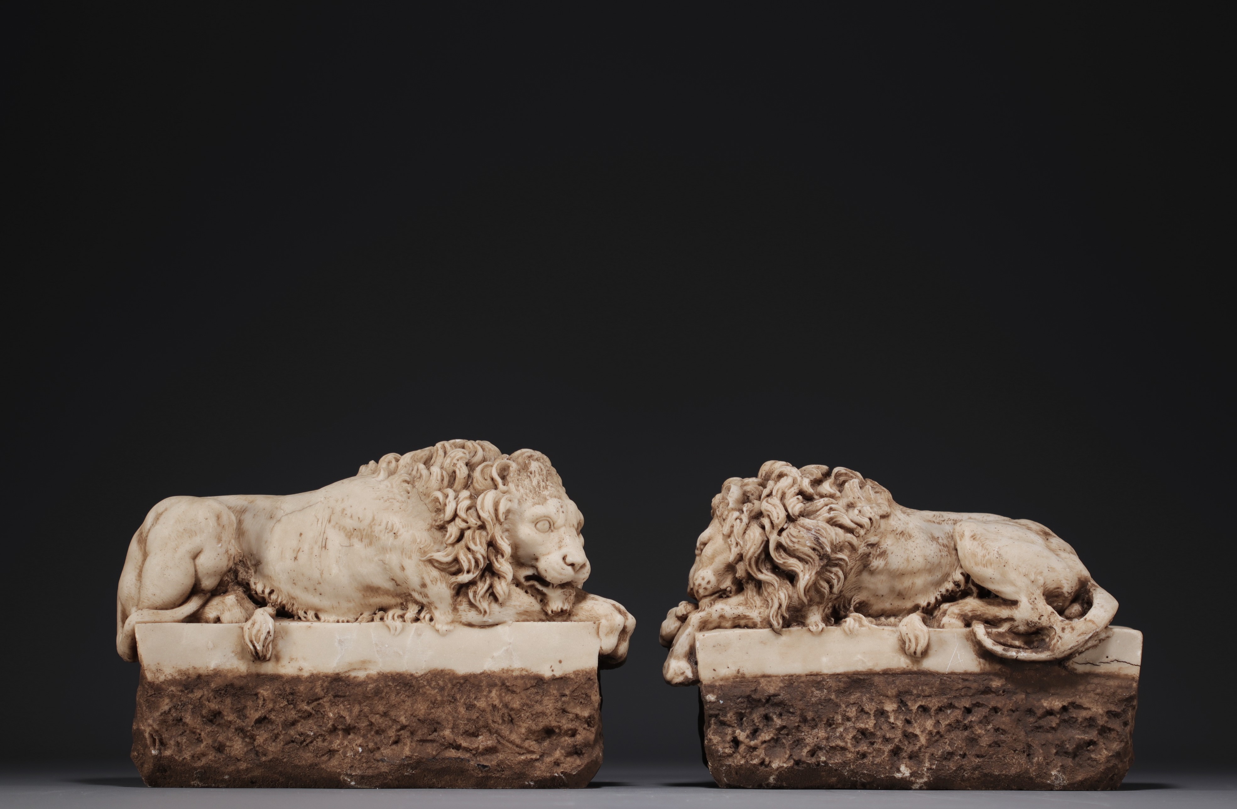 Pair of sculpted marble Lions, probably 18th century. - Image 3 of 4