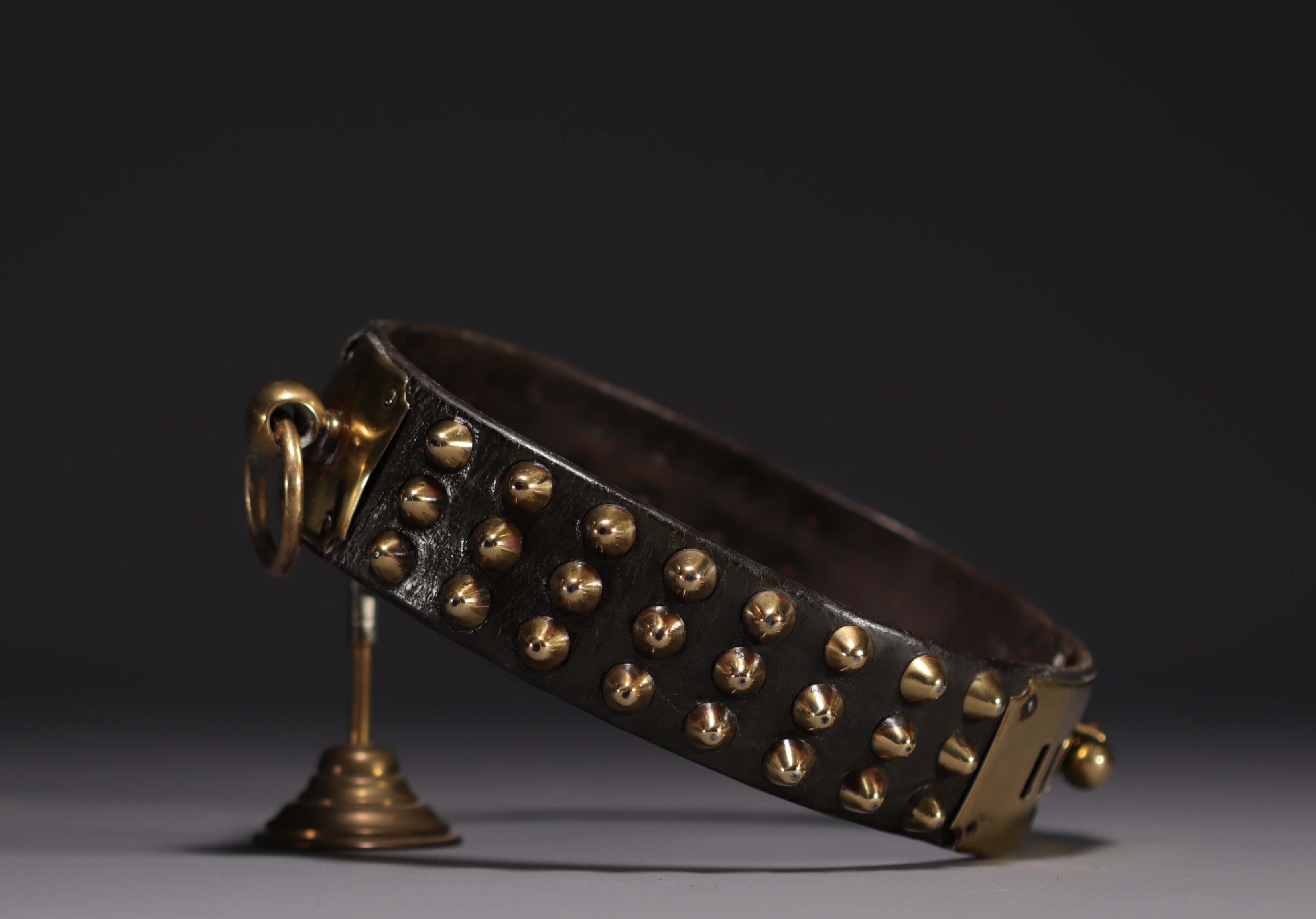 Rare leather dog collar, studs and brass nameplate, 19th century. - Image 3 of 3