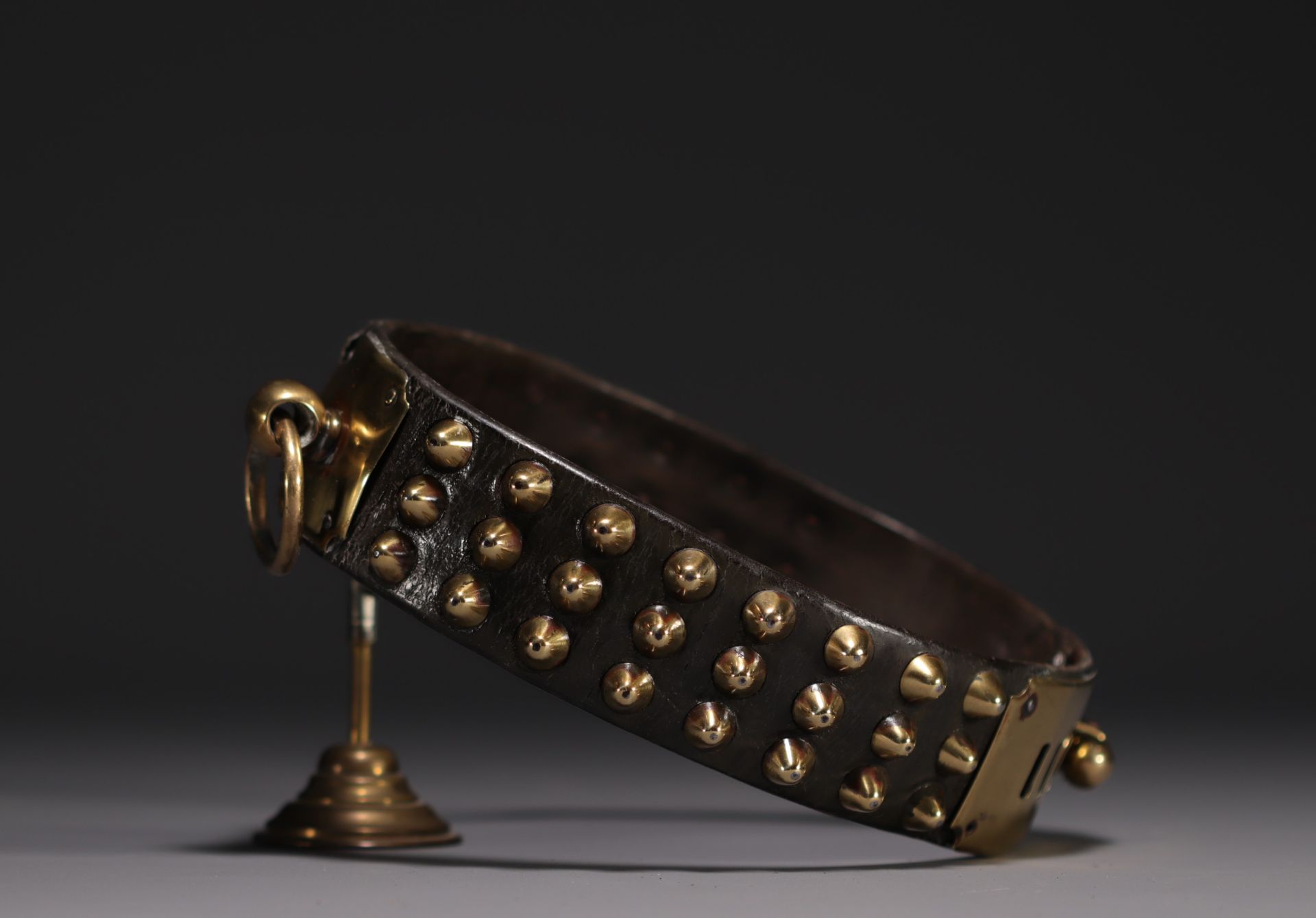 Rare leather dog collar, studs and brass nameplate, 19th century. - Image 3 of 3