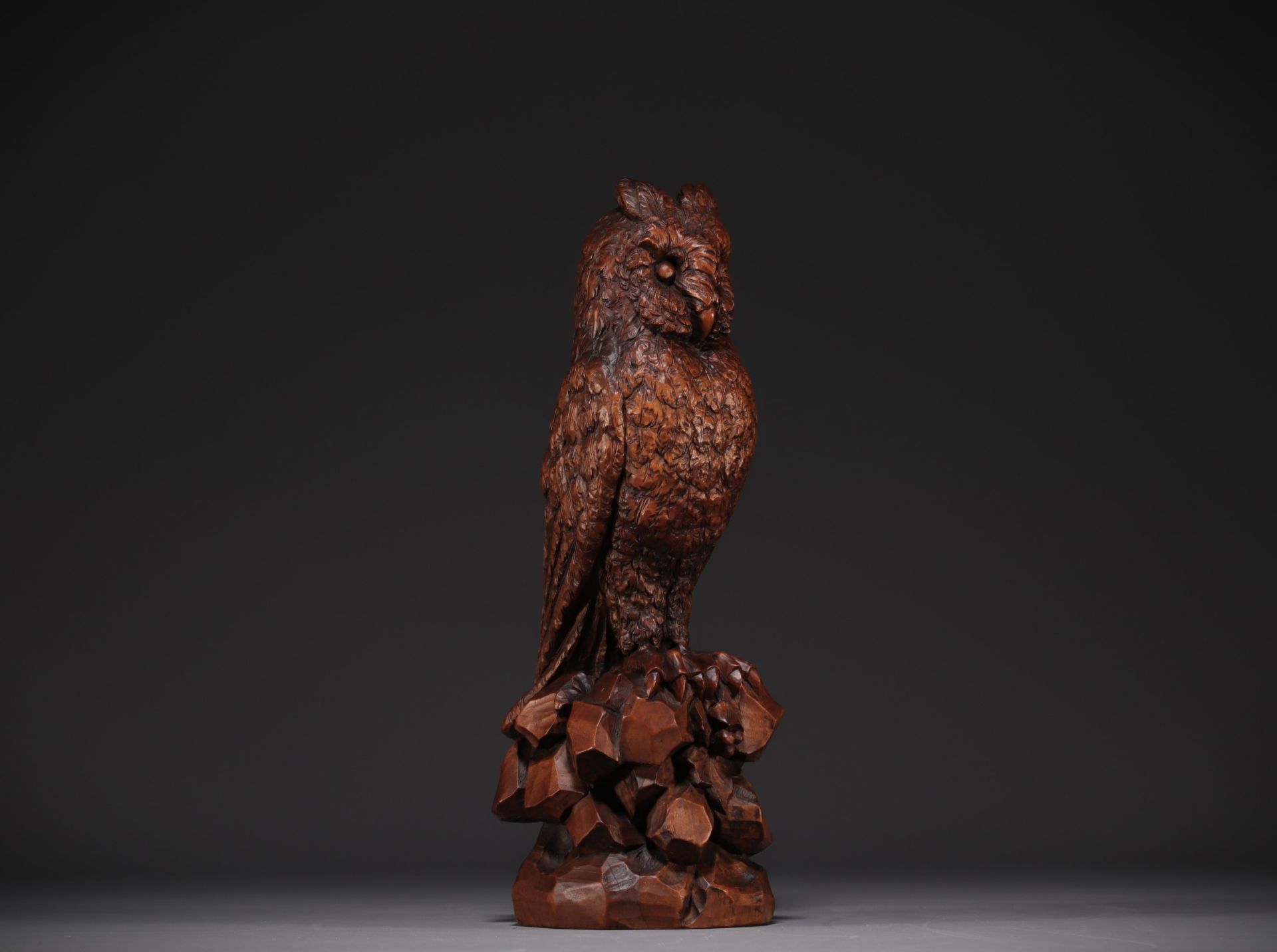 Black Forest carved walnut owl, 19th century. - Bild 3 aus 4
