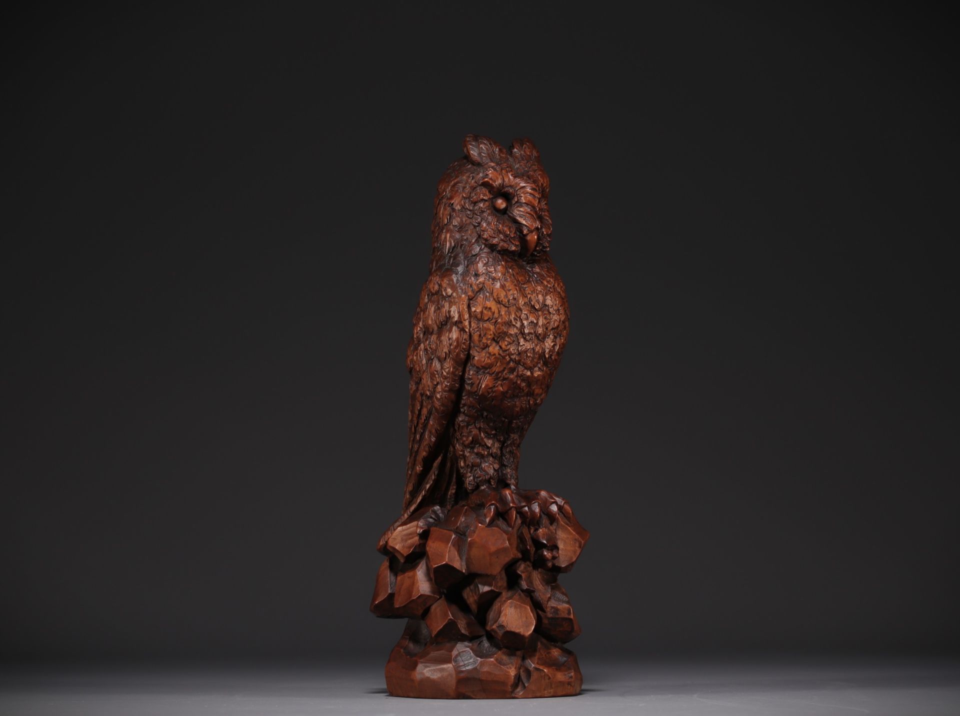 Black Forest carved walnut owl, 19th century. - Image 3 of 4