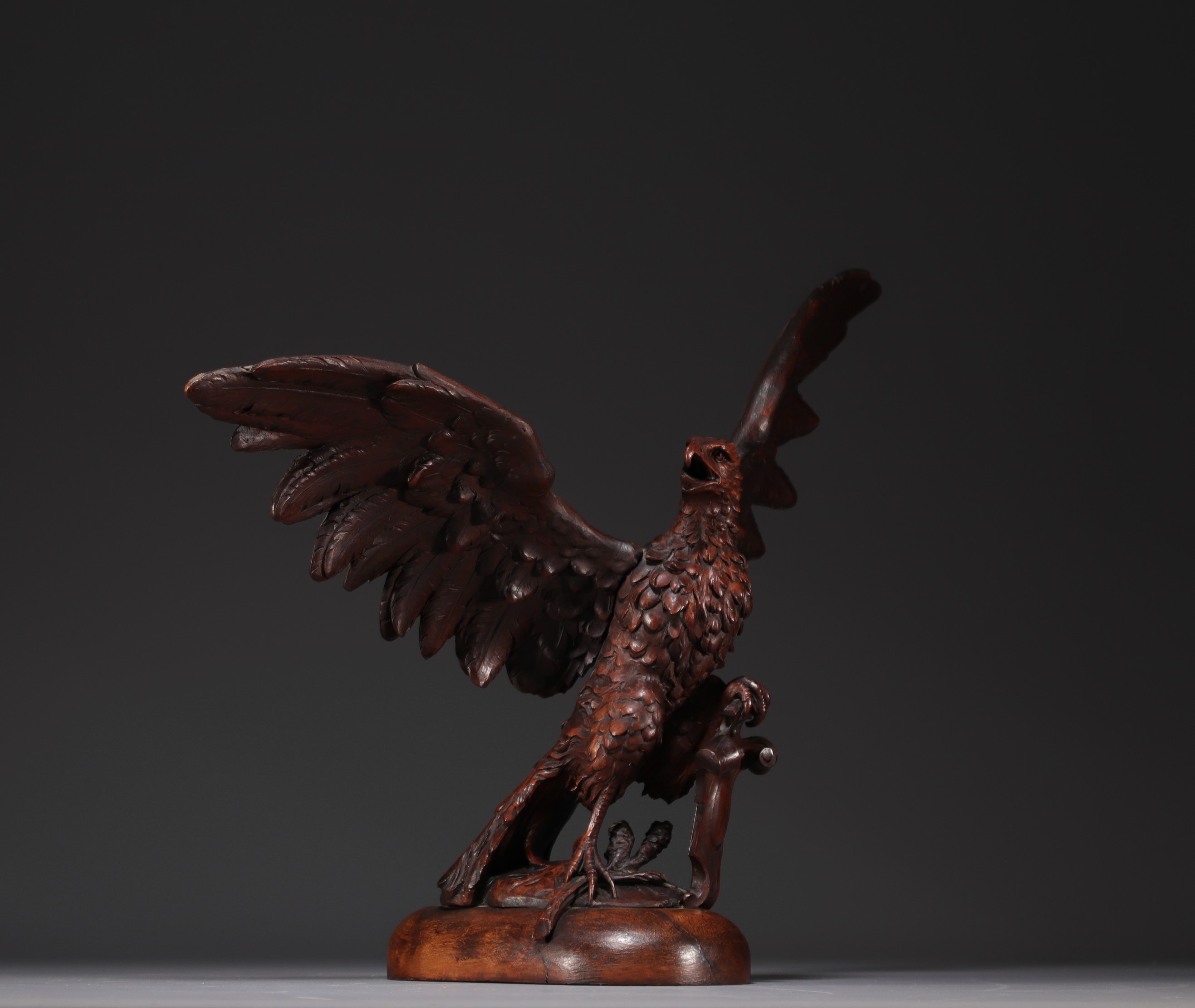 Royal eagle in carved walnut from the Black Forest, 19th century. - Image 3 of 3