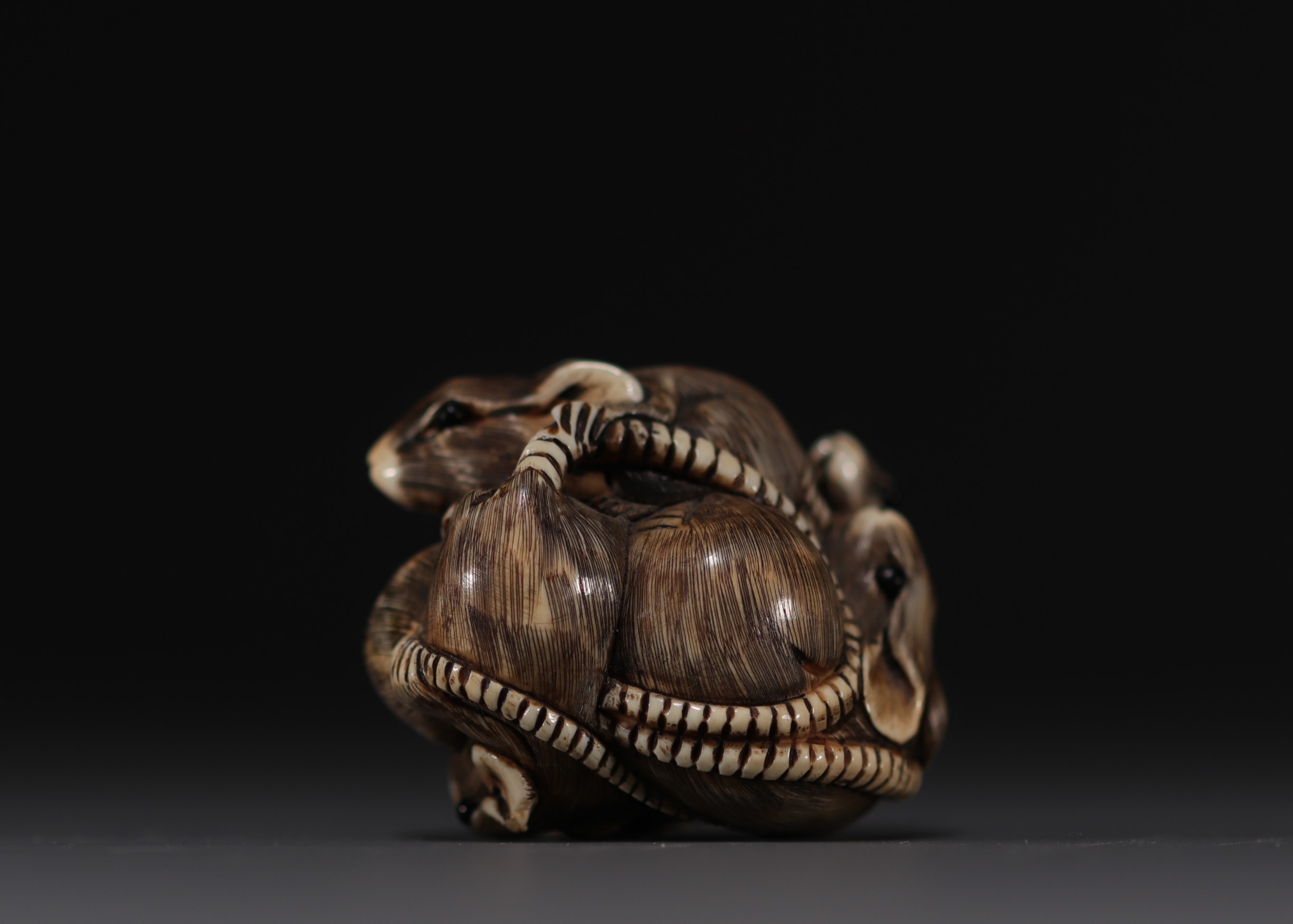 Japan - Ivory and black coral netsuke representing a group of six rats, Meiji. Signed. - Image 7 of 9