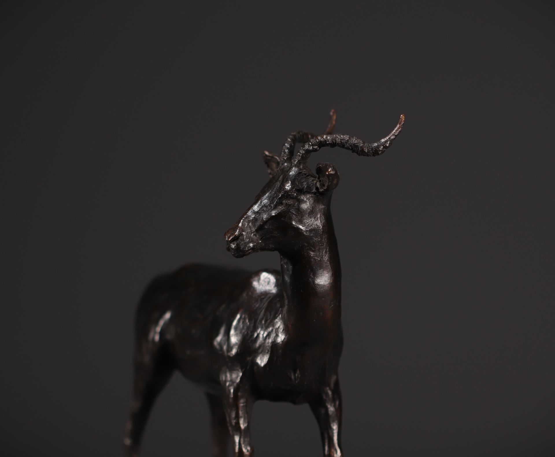 Catherine BOISSEAU (1952- ) "Impala" Artist's proof in bronze signed "C.Boisseau" and numbered 1/8.  - Image 5 of 5