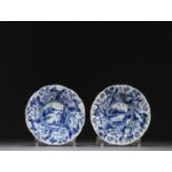 China - A pair of blue-white porcelain plates with floral decoration, Kangxi period.
