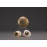 Muller Sohne Wiesbaden - Small box containing two ocular prostheses (glass eyes).