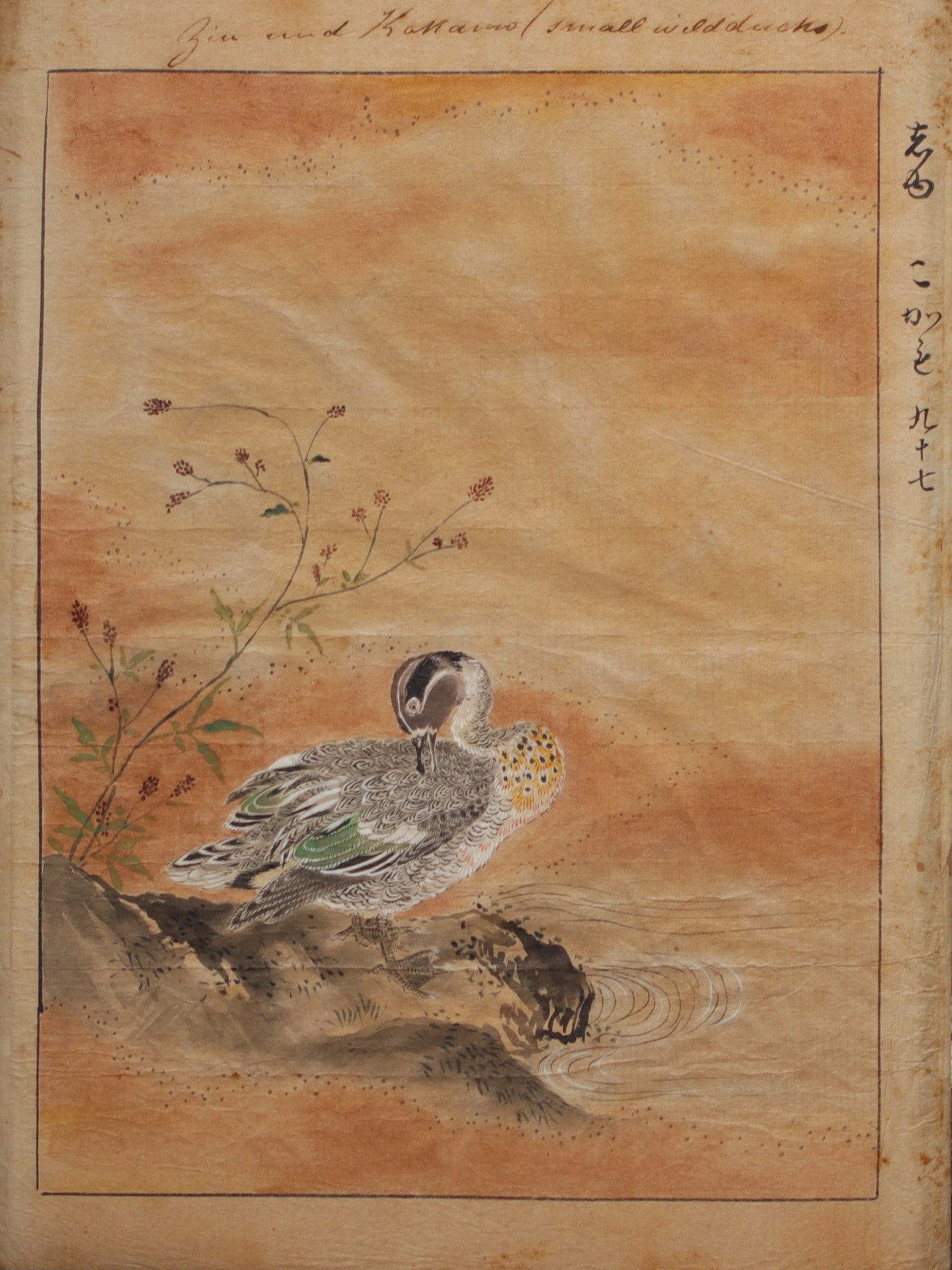 Japan - Print with wild duck and calligraphy, 19th century.