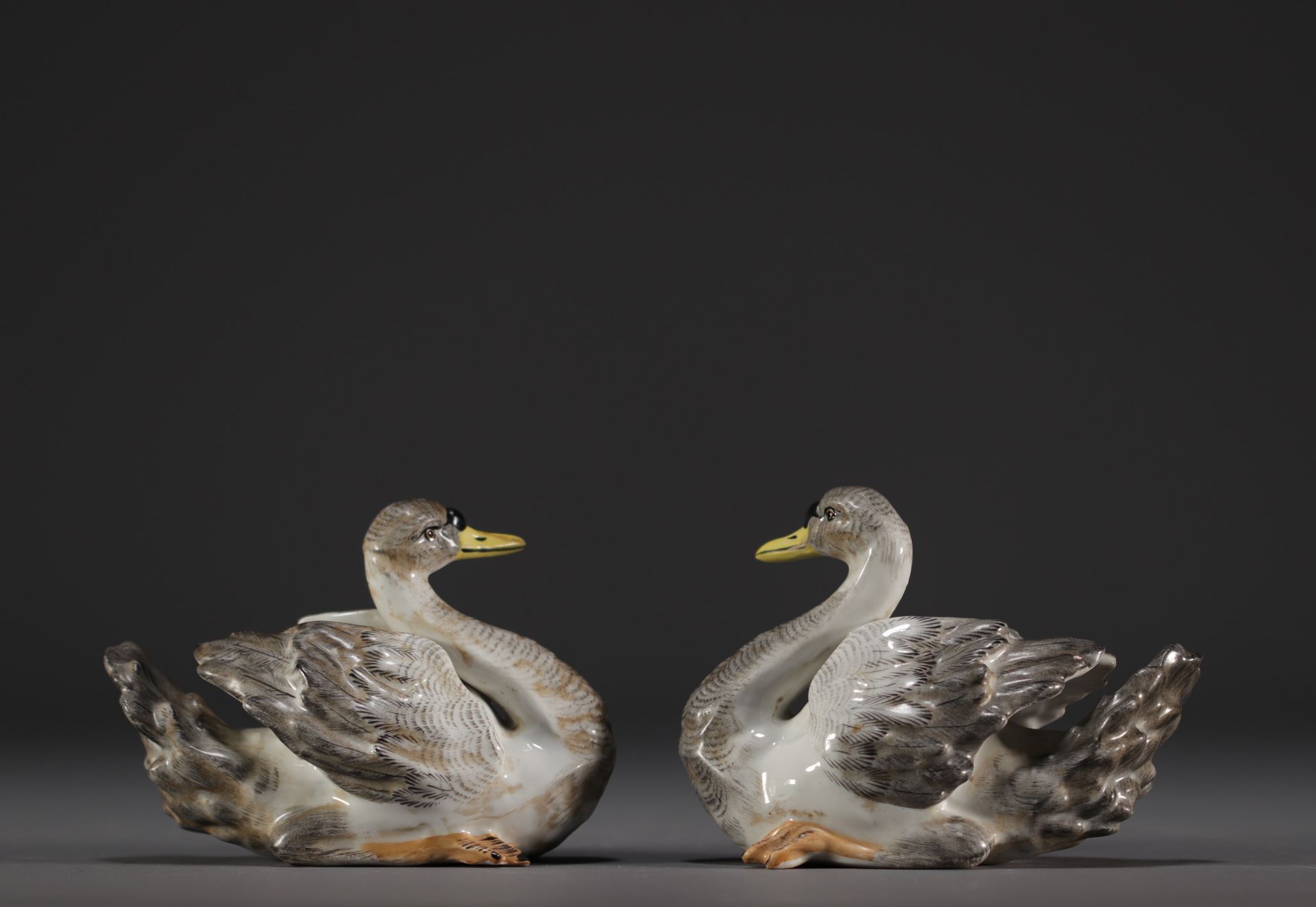 Meissen - Couple of young Swans in porcelain, crossed swords mark under the piece.