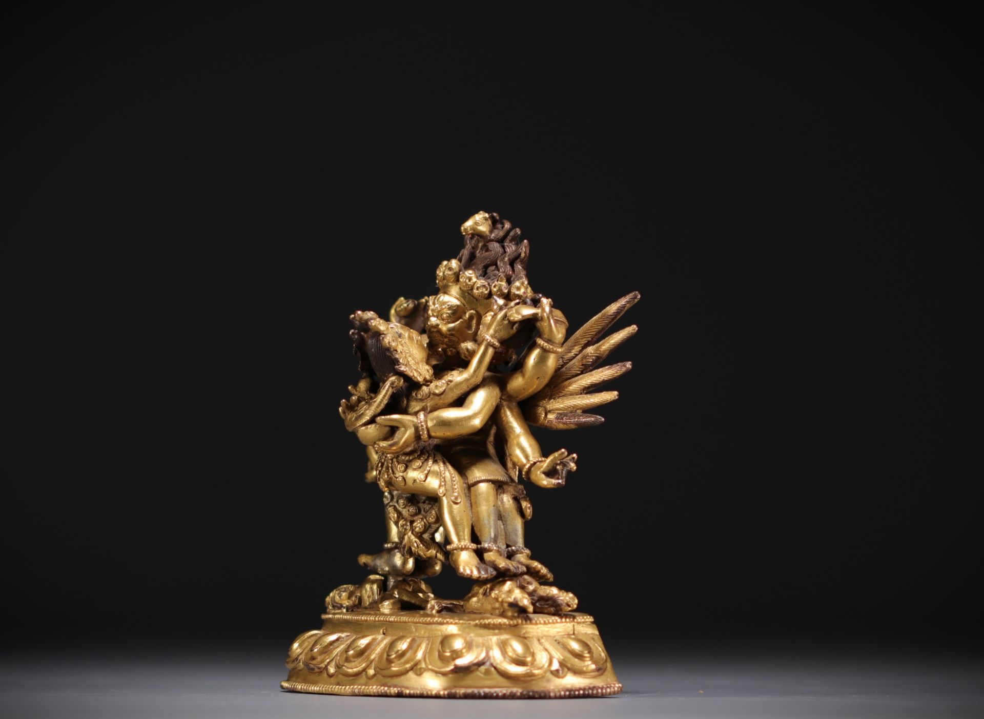 China - Tibet - Mahachakra Vajrapani, gilded bronze divinity. - Bild 3 aus 5