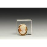 Small 18K gold Cameo brooch, "Bust of a woman".