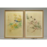 China - Set of two bird prints on rice paper.