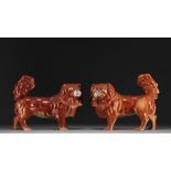 China - Pair of pekinese in fawn-colored porcelain.