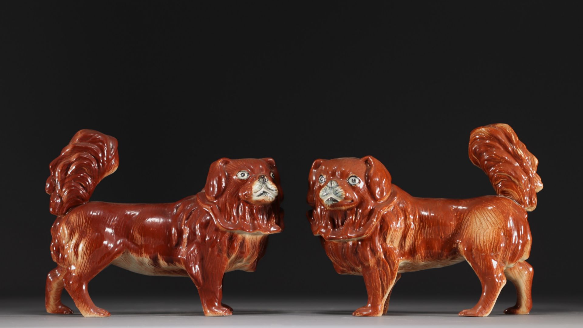 China - Pair of pekinese in fawn-colored porcelain.
