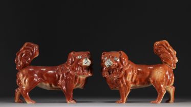 China - Pair of pekinese in fawn-colored porcelain.