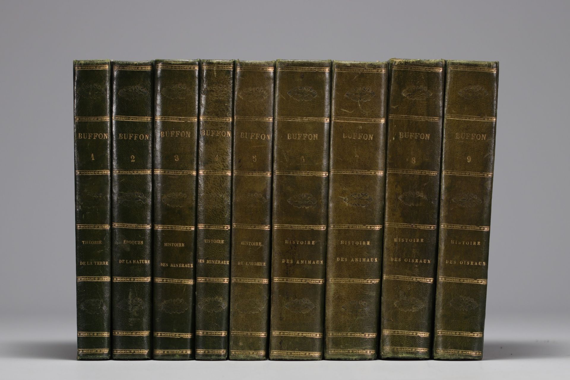 "OEuvres completes de BUFFON" in nine volumes, 1852 edition.