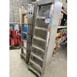 Speedy, aluminium seven tread step ladder