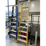 Bratts, six tread fibreglass step ladder