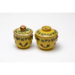 A Lot of 2 Vintage Dresden Yellow Porcelain Sugar Pots Depicting Floral Patterns from Circa 1900s.

