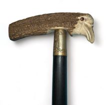 Ebonised sword Stick with antler handle depicting a birds head. Two very ornate top ferrules with