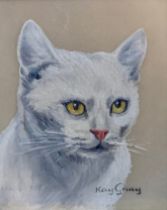 Kay Gray (British), miniature oil on board cat portrait. Signed Kay Gray to lower right. Framed.