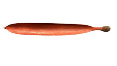 Aboriginal carved wooden Woomera, (spear thrower) possibly Mulga wood, coated in Red Ochre 86 x 10.