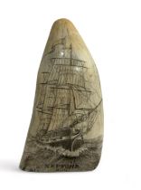 Scrimshaw - A large standing whale tooth depicting a sailing ship steaming ahead with the words '