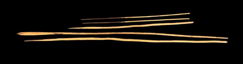 Aboriginal Spears, 5 in all, three throwing spears, lengths 209cm, 202 cm, and 127 cm. Two fishing