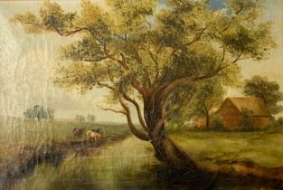 M Brown (British), 19th / 20th Century oil on canvas countryside landscape featuring cows in a