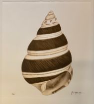 John Matthew Moore (American, Contemporary), Shell limited edition Giclée print, edition 6/295.