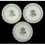 Wedgwood, a set of three Wedgwood side plates 'Garden' designed by Eric Ravilious, printed with a