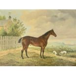 J Quinton (British, 19th Century), Stallion and dogs stood outside house, oil on canvas. Signed to