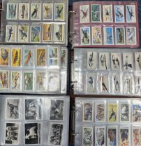 Collection of cigarette cards and trade cards, all in plastic sleeves, in 10 albums, mainly complete