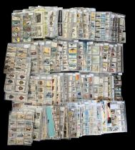 Cigarette card and trade card collection, all in plastic sleeves, mainly complete sets, some missing