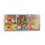 Captain Marvel 1943-1944 Nos 30, 34, 36. All 3 comics are bagged & boarded in Mylar bags, VG/F.