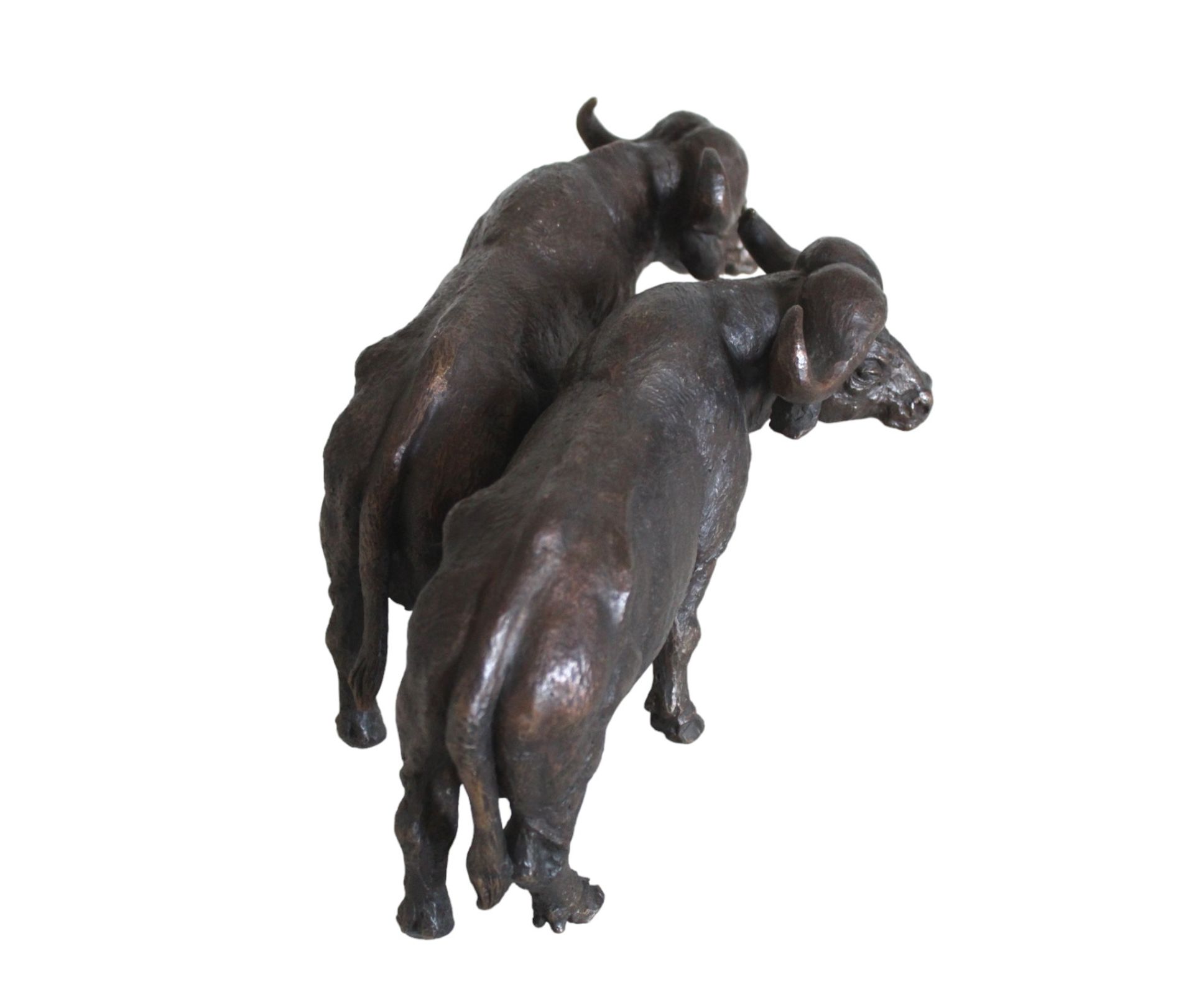 Bronzefigur, zwei friedliche Kaffernbüffel darstellend; F.J. Lipensky, 20. Jhd.;  guter Zustand mit - Image 2 of 4