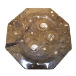 Ausgefallener, aus einem u.a. mit Ammoniten und Orthoceras versehenem Gestein gefertigter und polie