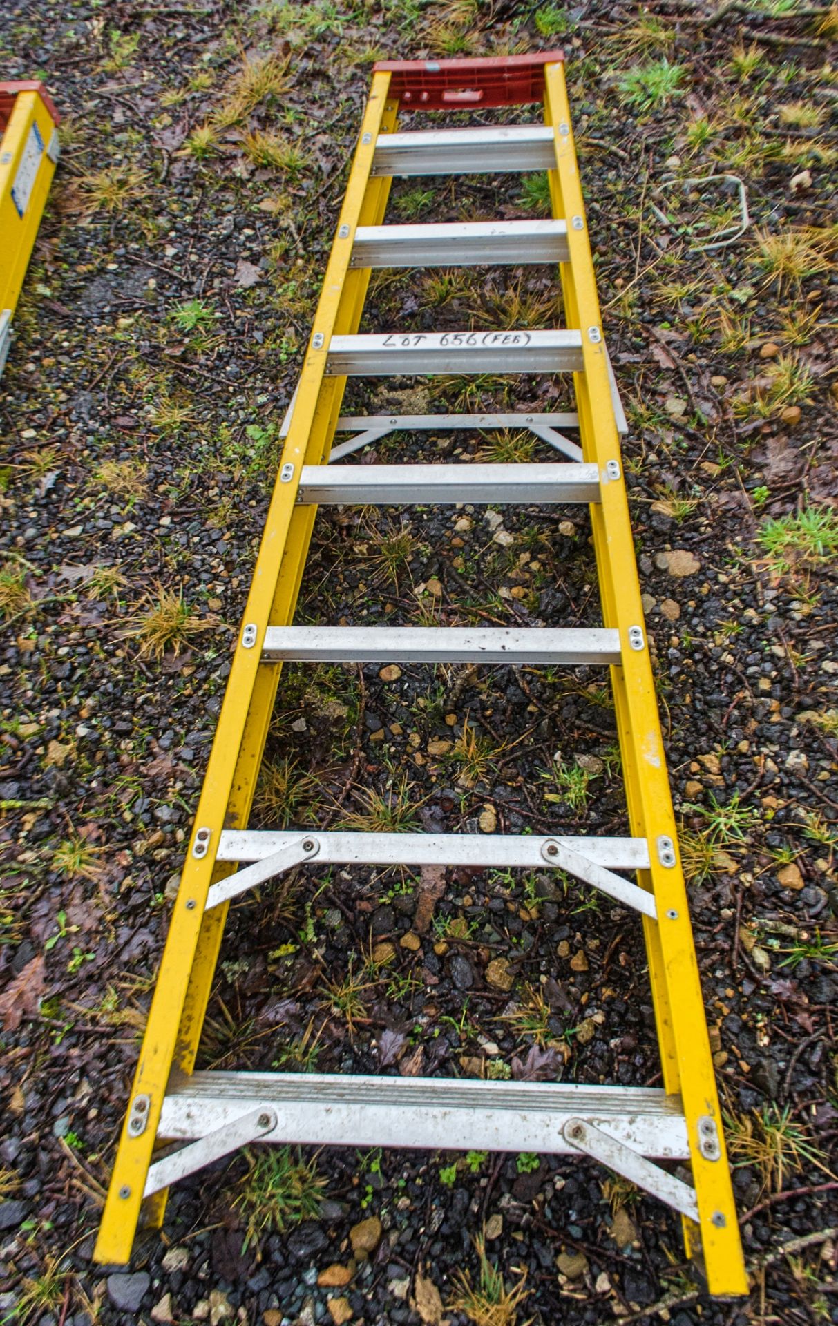 Lyte 8 tread glass fibre framed step ladder 19031604