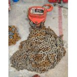 Tiger 1 tonne chain block A806985