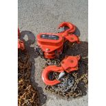 Tiger 10 tonne chain block A1283732