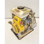 Petrol driven 1 inch water pump CW65453