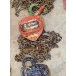 Tiger 1 tonne chain block A1097184