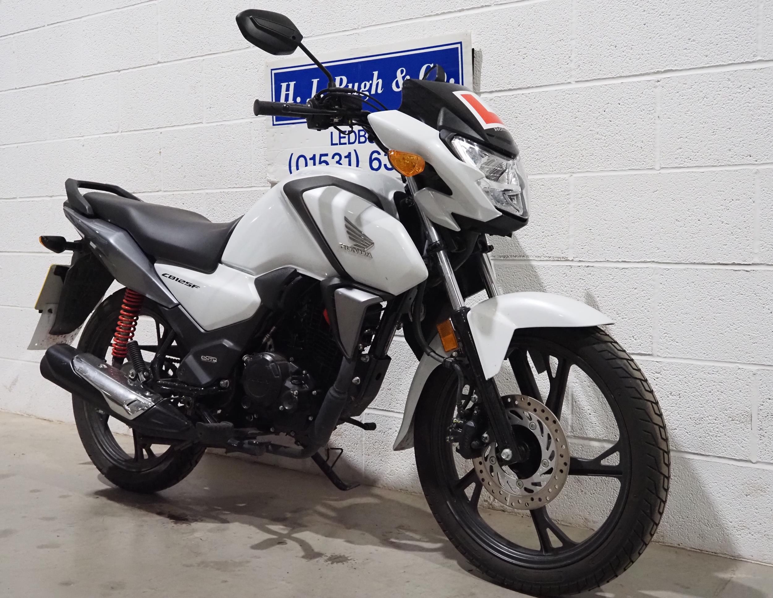 Honda CBF125 motorcycle. 2022. 124cc. Runs and rides. Recent service Comes with wheel lock, - Image 2 of 6