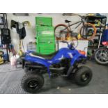 Yamaha YZM 50 quad bike. Good condition, recent service, vendor has owned since 2016. Runs and rides