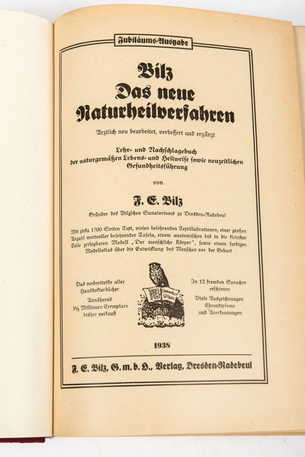 Bilz, Das neue Naturheilverfahren, Jubiläumsausgabe 1938 - Image 3 of 5