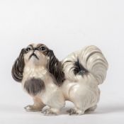 Pekinese, Kopenhagener Porzellan , Jens P. Dahl-Jensen